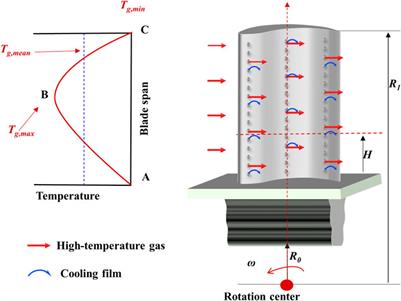 Dependence of microstructural evolution on the geometric structure for serviced DZ125 turbine blades